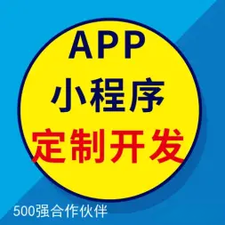 App开发、企业管理系统软件开发 源码交付